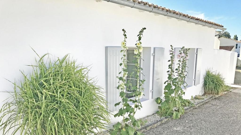 Le Clos Des Flots - L'Ocean La Flotte Buitenkant foto